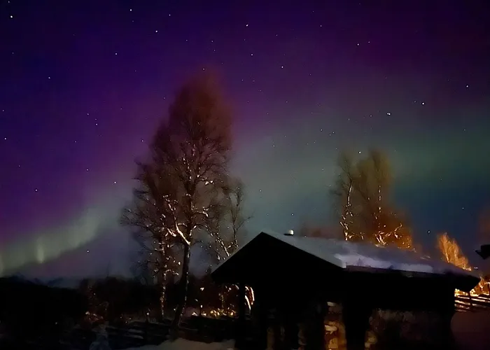 Cosy And Quiet Cabin With Sauna Close To Hemsedal